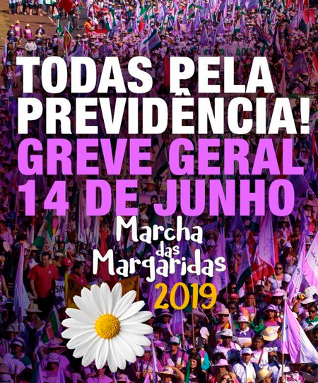 20190614_margaridas 20190614_margaridas