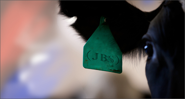 2014071 vaca caravana JBS-3-610