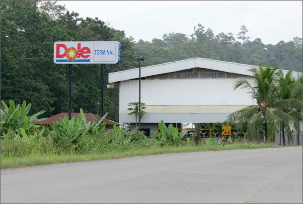 dole 610