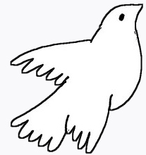 paloma-202