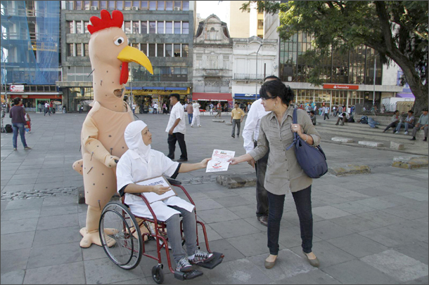 pollo 20130514-610