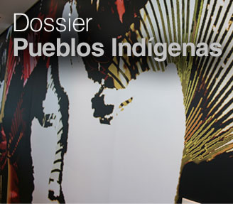 20140901 pueblos indigenas dossier-328