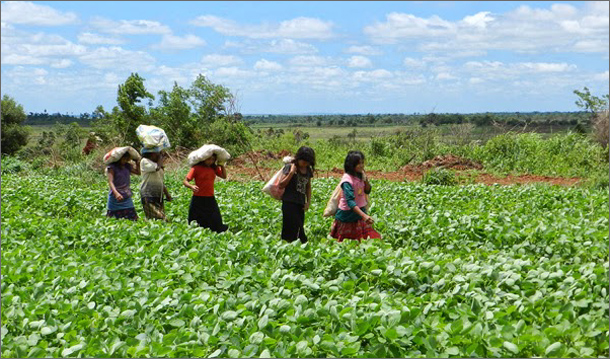 20140904 tierra py-610-2