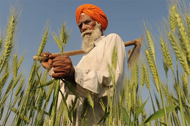 Monsantoavaaz20130424 610