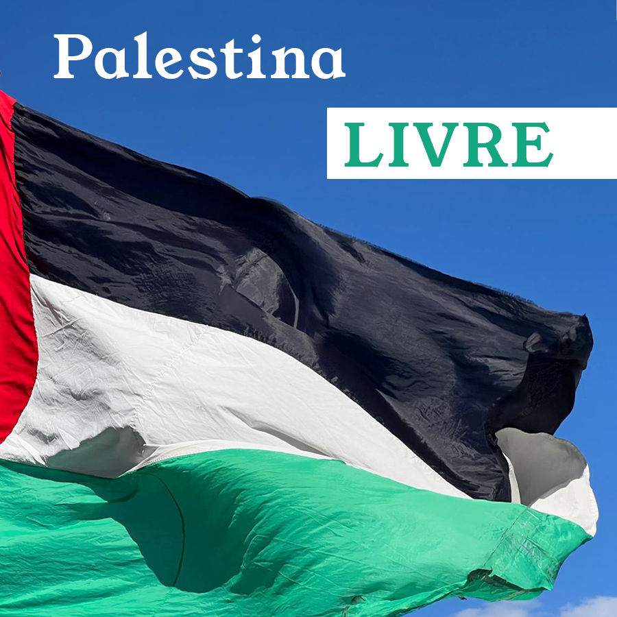 Palestina900PT