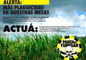 Alerta ante modificación al reglamento para inscripción de agrotóxicos