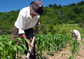 CONTAG é contra a Reforma da Previdência proposta pelo governo que inviabiliza a aposentadoria rural