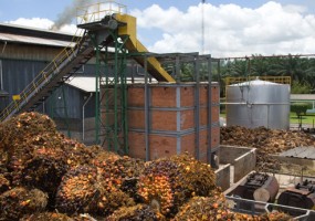 Negociación colectiva en Induspalma Dominicana sigue estancada