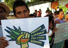 Fyffes perdida en su propio laberinto