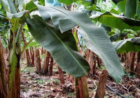 Urabá, la tensión se siente