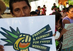 Fyffes monta sindicatos paralelos